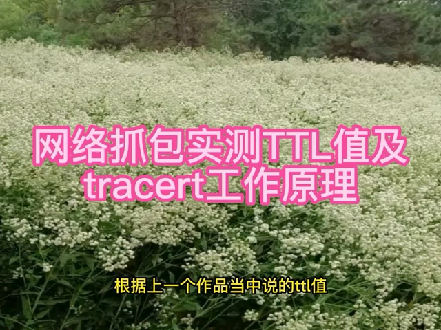 网络抓包实测ttl值以及tracert工作原理哔哩哔哩bilibili