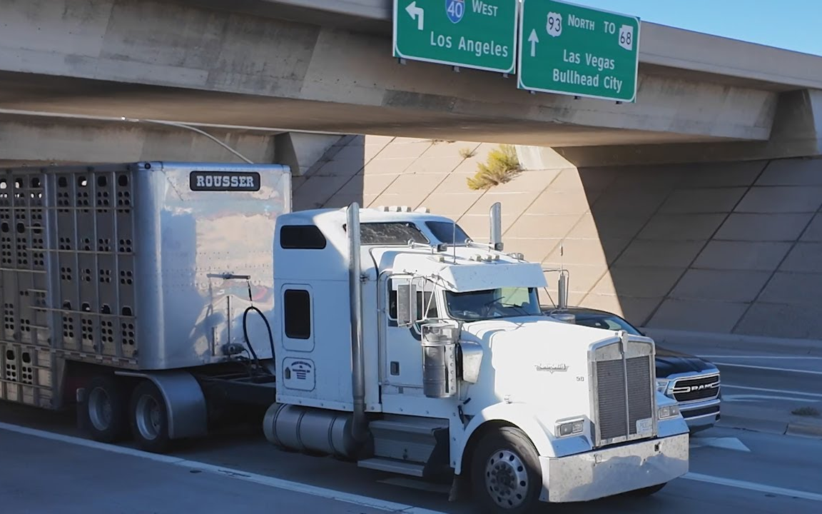 【北美卡车】【Trucks USA】发现大卡车、火灾、军事、网络卡车发现、运牛车和其他大型车辆,亚利桑那州哔哩哔哩bilibili