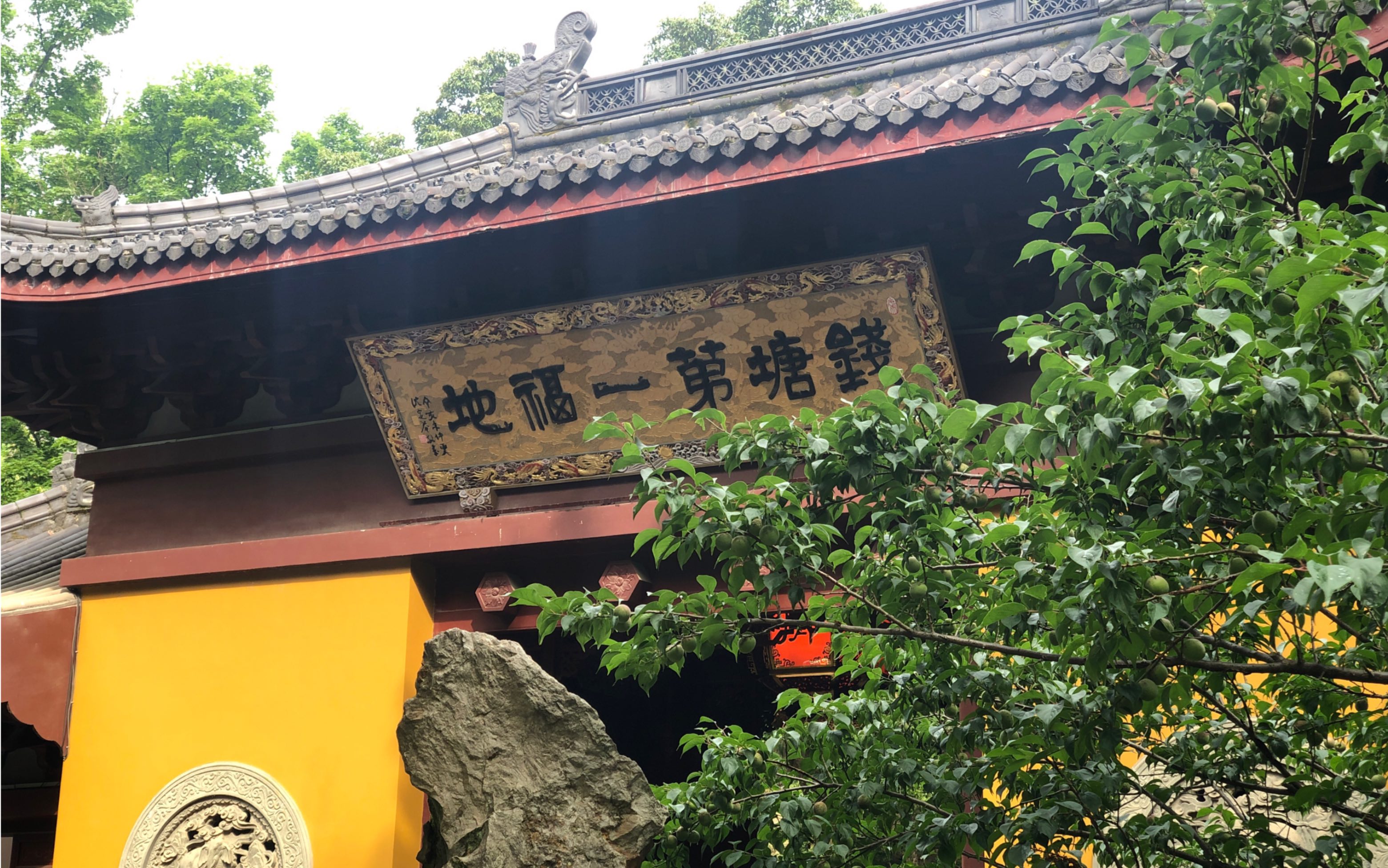 杭州|永福寺的绣球花