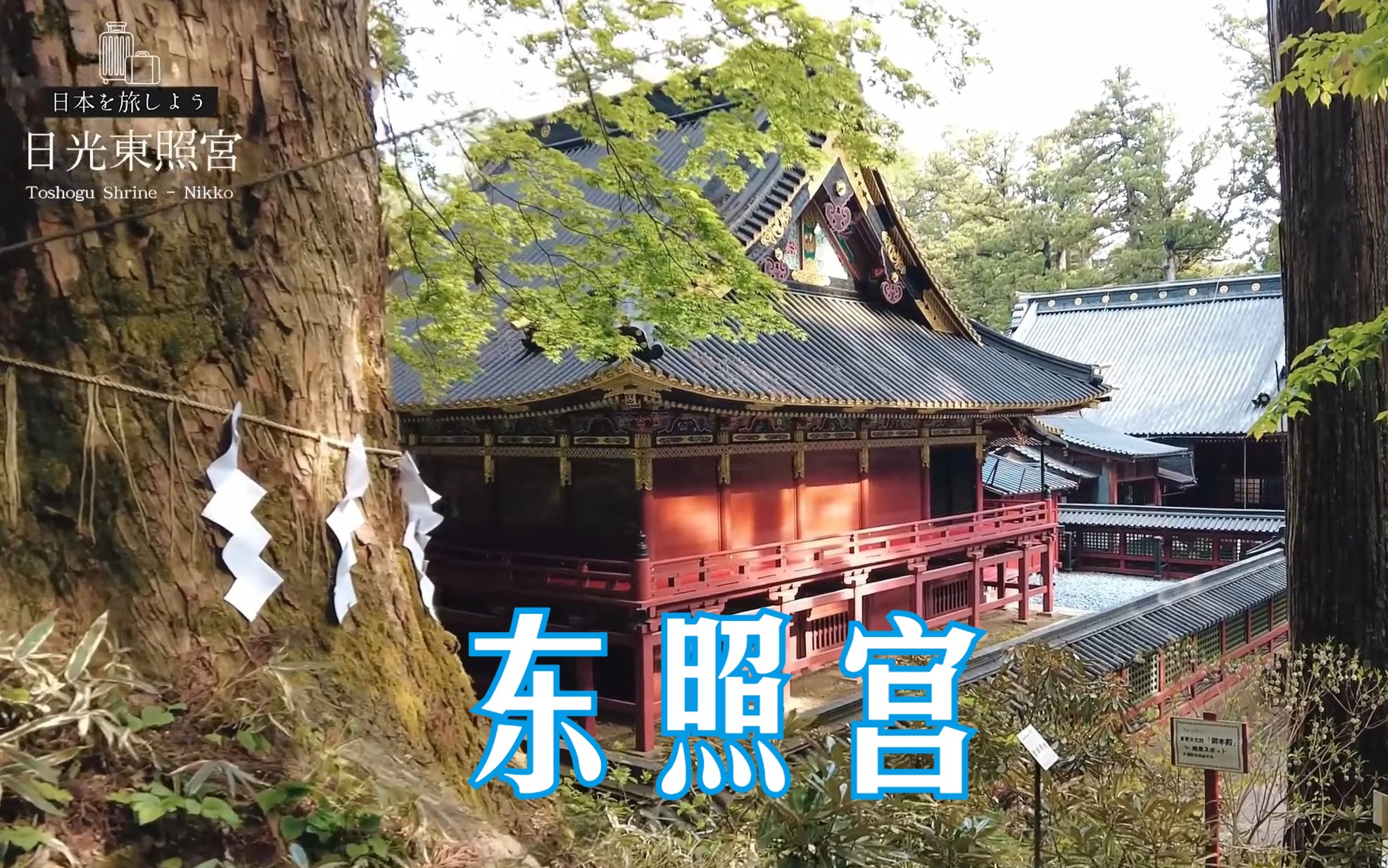 日本最华丽的神社—日光市东照宫,金箔修葺的美丽圣地!哔哩哔哩bilibili