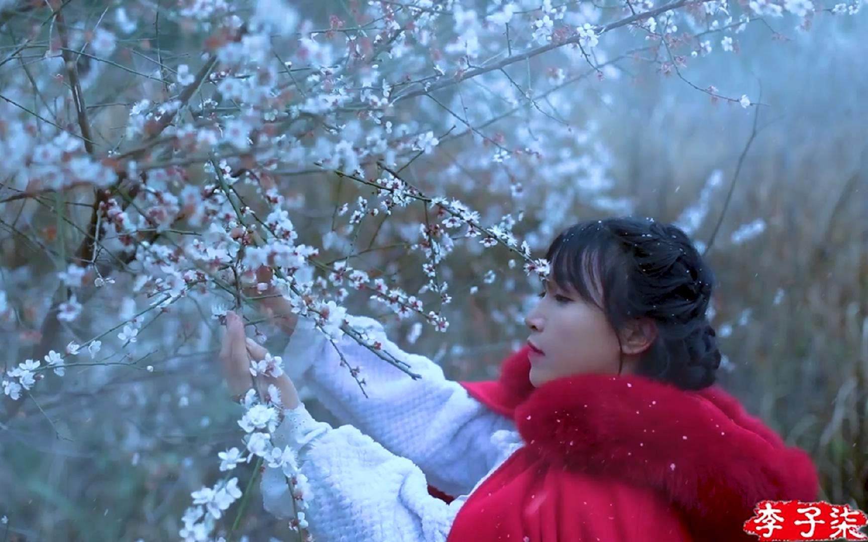 [图]【一碟小菜】榨菜清粥，配上满枝头的梅花酥就是一顿家常早饭