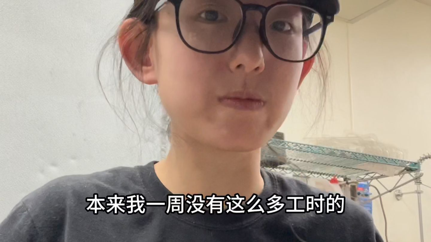 再这样下去真要爱上在美国打工做三明治这种工作了海报