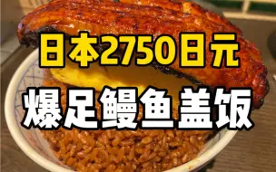 Download Video: 超满足！日本140块钱的香嫩鳗鱼盖饭！价格涨了块头却变小了？