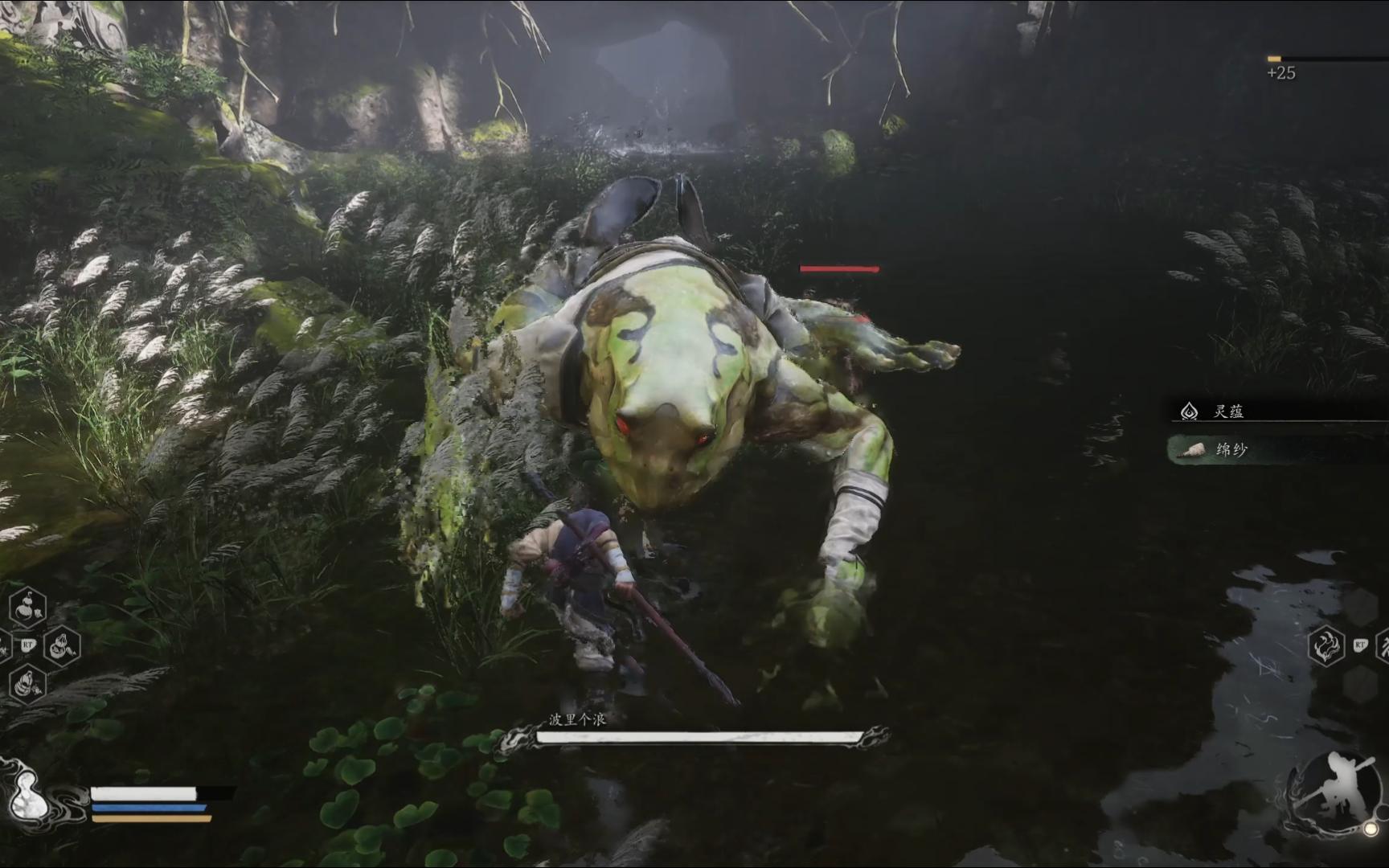 波里个浪,暴打大青蛙