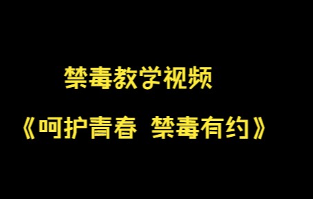 [图]禁毒教学视频 《呵护青春 禁毒有约》