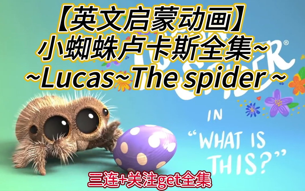 【高清英文启蒙动画】小蜘蛛卢卡斯~lucas the spider~童趣童真~英语