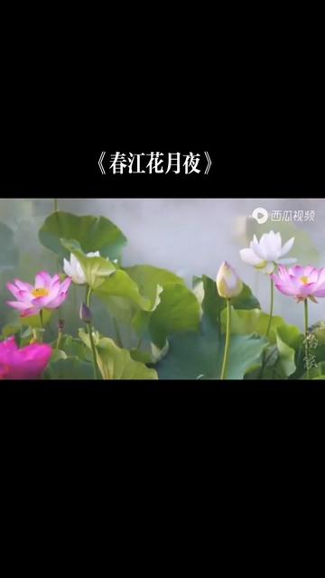 中国经典名曲《春江花月夜》.作者:张若虚(初唐).古筝演奏.花在画中行,行至风景美,美景若仙境,境画相映辉.微风吹过,花儿摇曳着婀娜美丽...