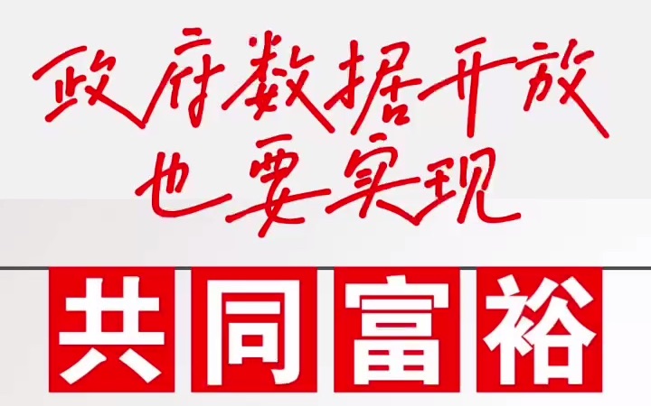 [图]政府数据开放也要实现共同富裕