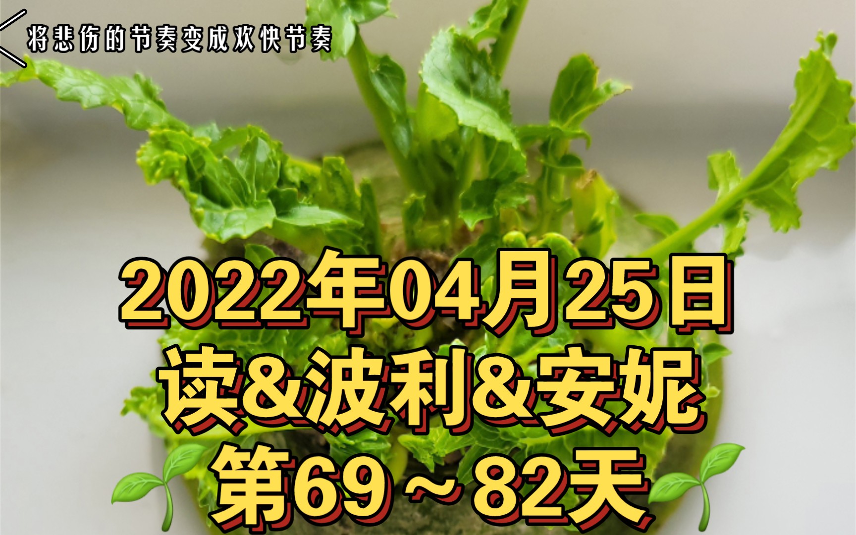 2022年04月25日&读&波利&安妮𐟌𑧬춹~82天𐟌𑨮Š波利选择安妮成为朋友的原因)(答案出现)(周围人都乐观,陌生人安妮是悲观/一切皆有可能)...