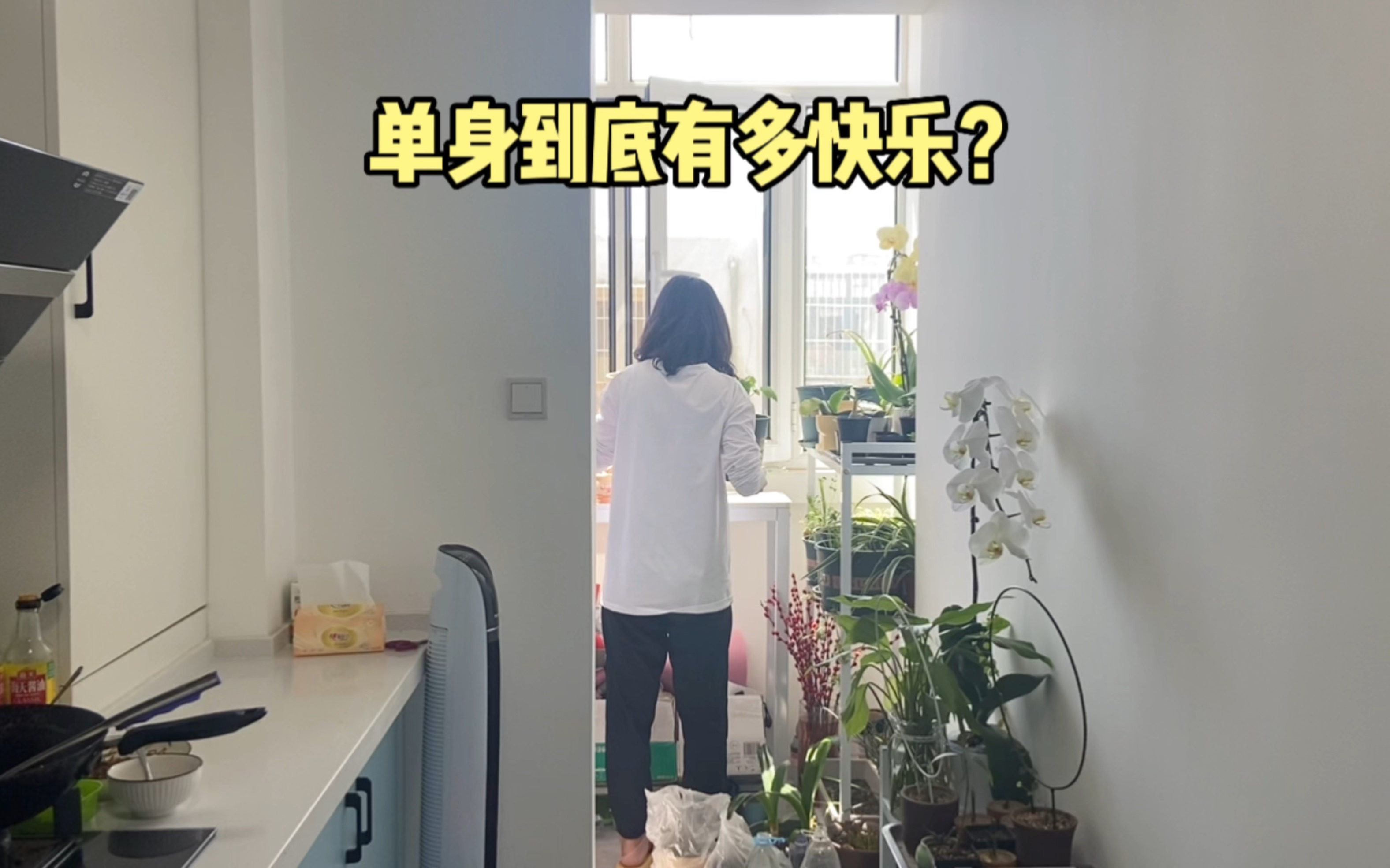 单身到底有多快乐?哔哩哔哩bilibili