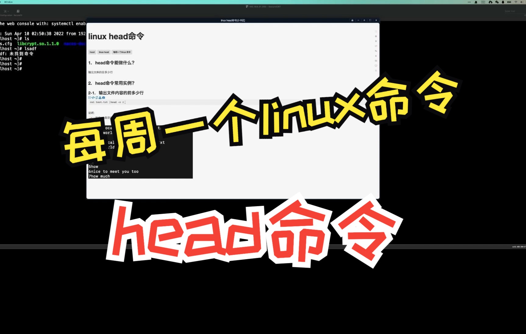 head命令 每周一个linux命令哔哩哔哩bilibili