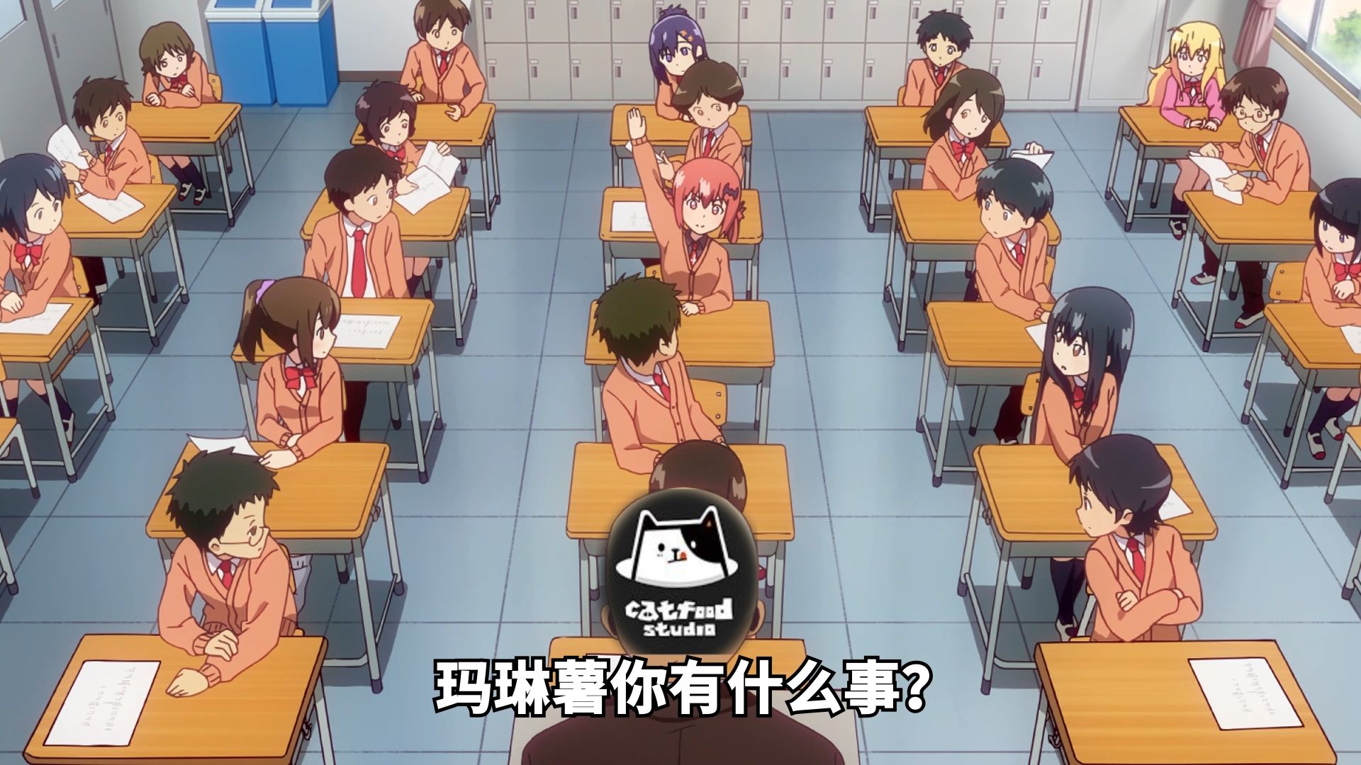 猫粮:听说你很勇哦?