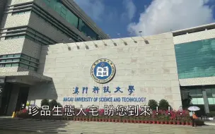 下载视频: （澳门科技大学）难道这不比招生简章好使？