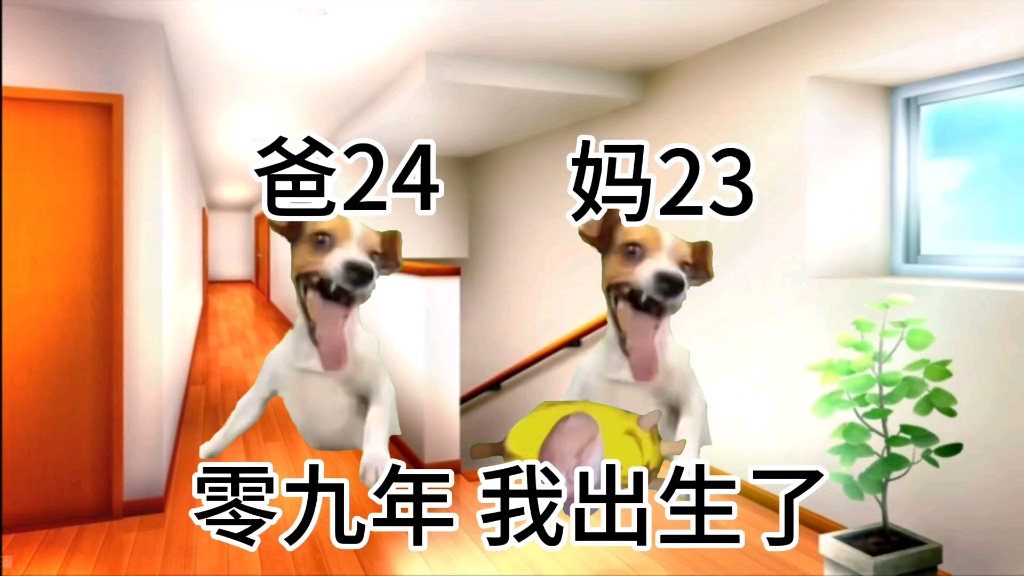 [猫meme]一分钟看完我的家庭背景哔哩哔哩bilibili