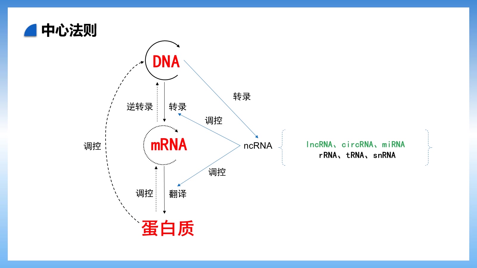 活動作品之發愛分享6中心法則及常見4種rna研究