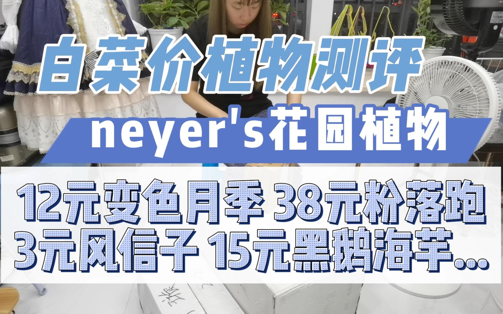 【园艺vlog】比双11还白菜!neyer乃爷家植物开箱购物分享 微型月季 黑鹅海芋 叶蝉竹芋 洋水仙 绣球落跑新娘 帝王万年青 仙客来 重瓣风信子 蔓绿绒哔哩哔...