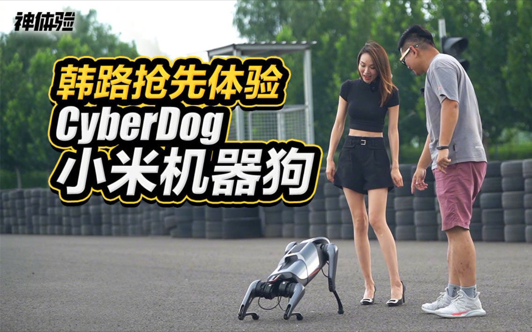 【神体验】韩路抢先体验cyberdog小米机器狗 .
