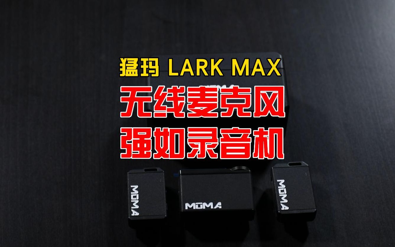  lark max 