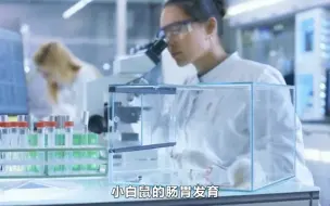 Tải video: 细菌有用吗？