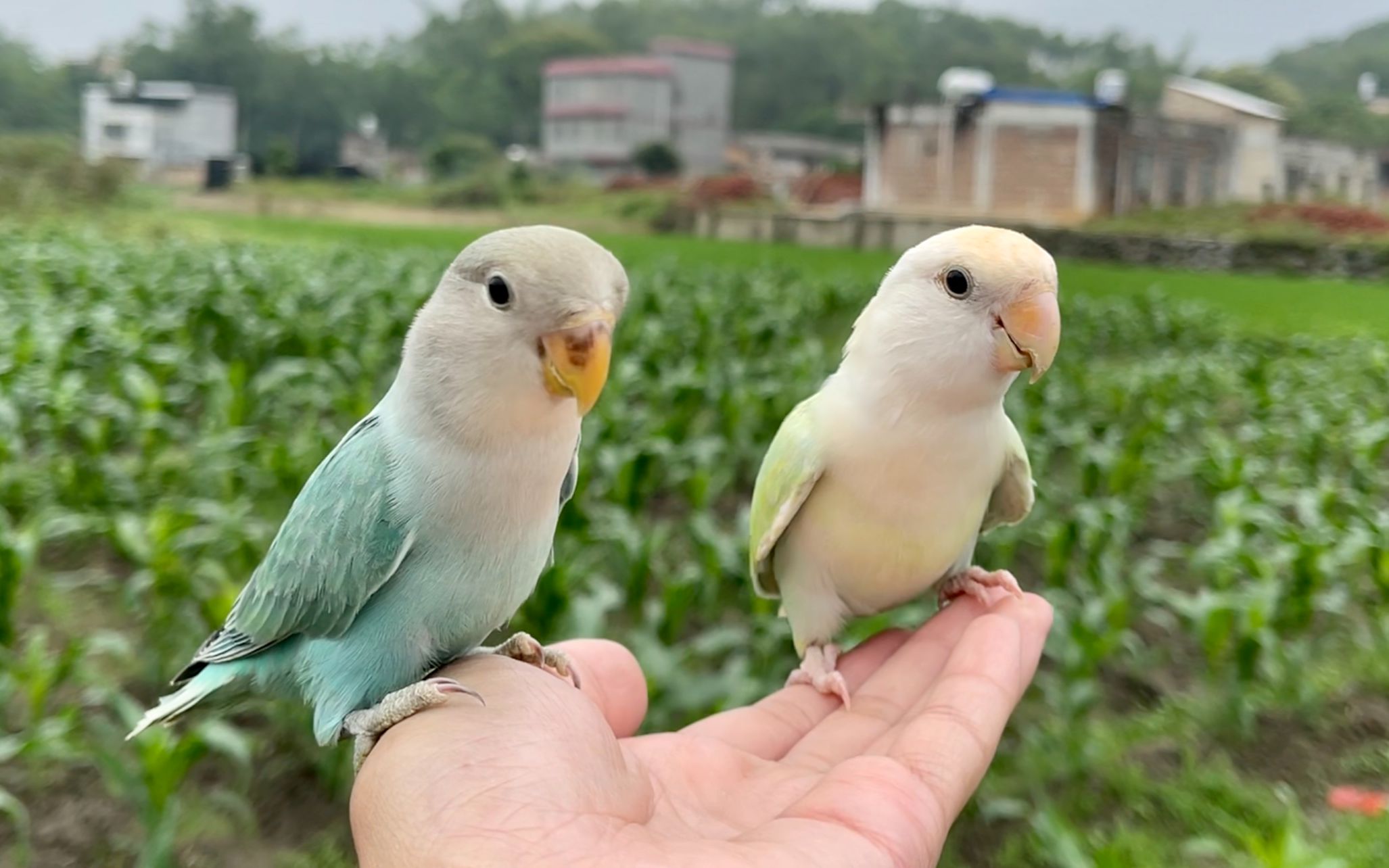 爷孙两性格太像了,一看就是亲孙子哔哩哔哩bilibili