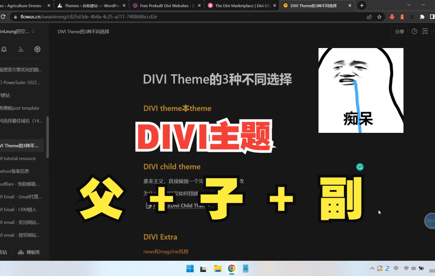 DIVI theme的三种不同选择:DIVI theme, DIVI Child theme, DIVI Extra theme | WordPress建站主题哔哩哔哩bilibili