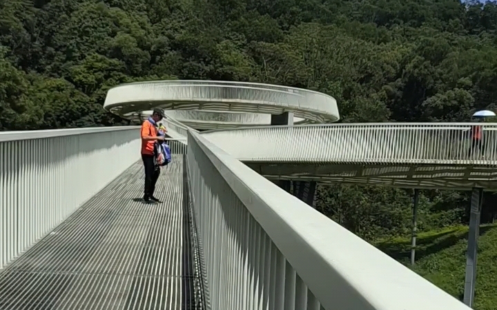 大顶岭绿道浮桥