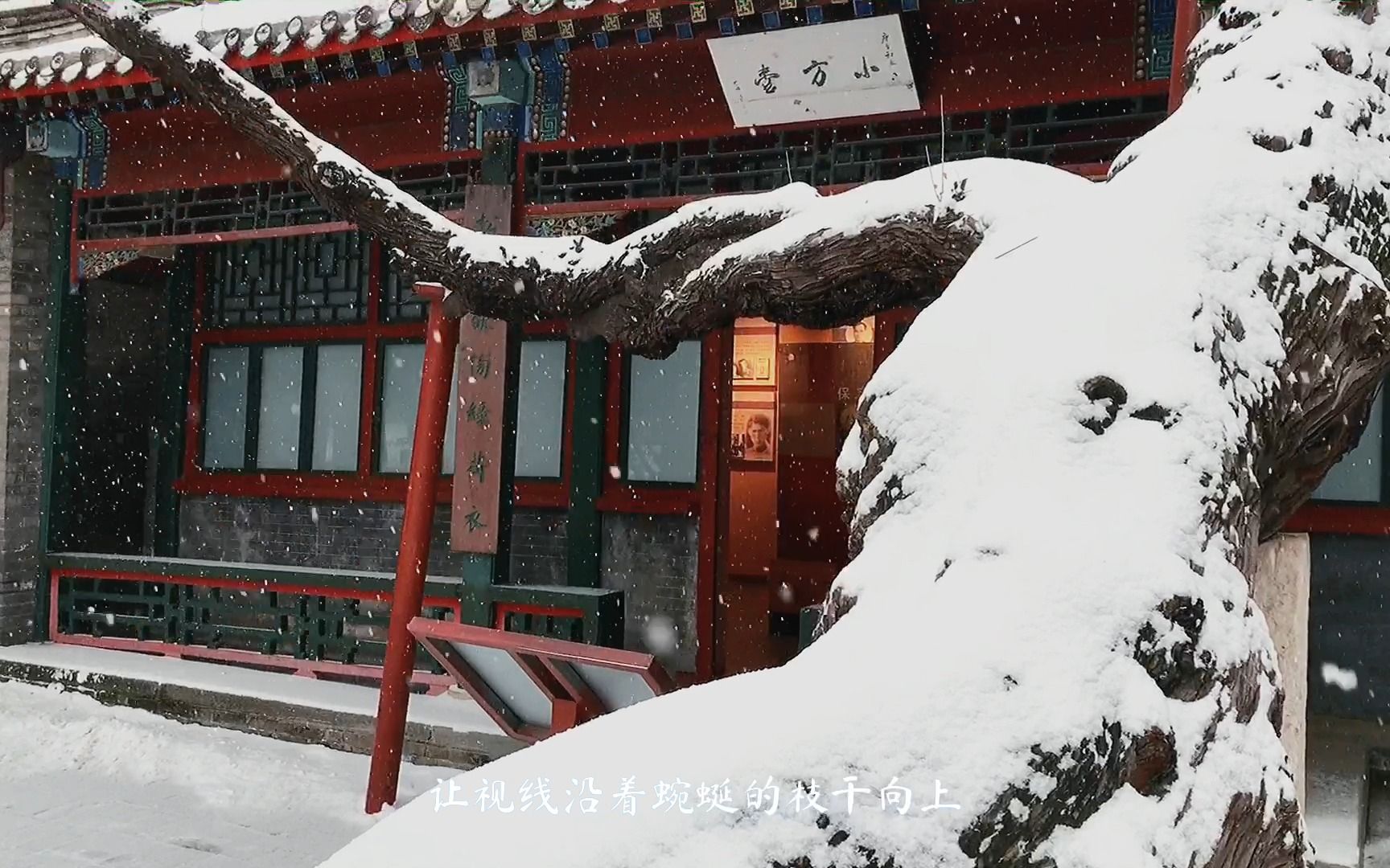 中国十大名园之一的保定古莲花池,冬天的雪景和夏天的荷花一样美哔哩哔哩bilibili