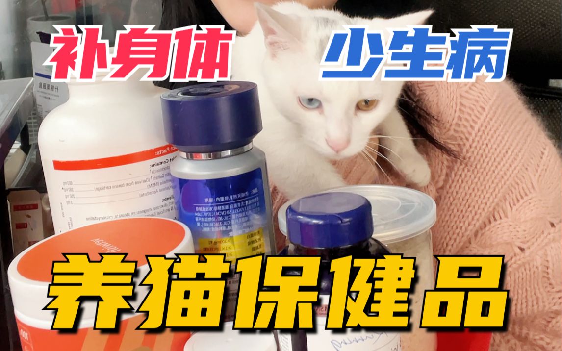 猫狗必备保健品!!身体贼棒 都靠它!哔哩哔哩bilibili