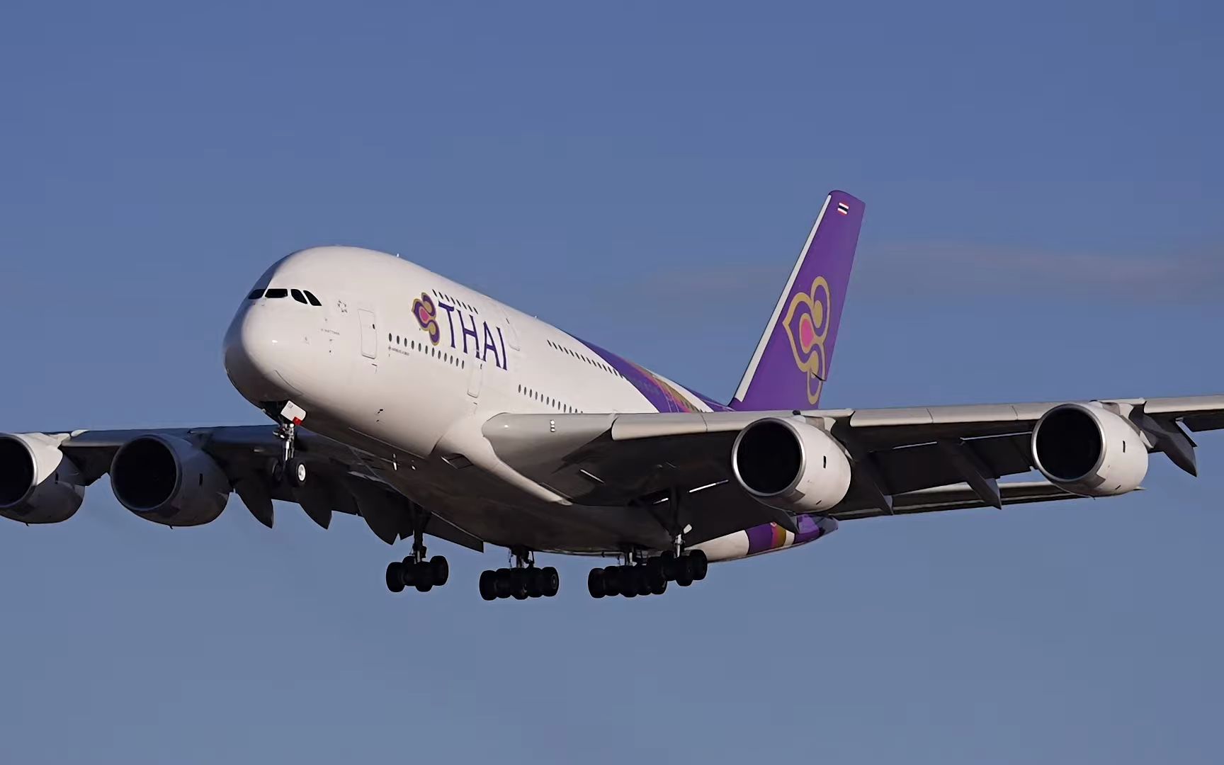 泰航a380-841 hs-tua|成田空港