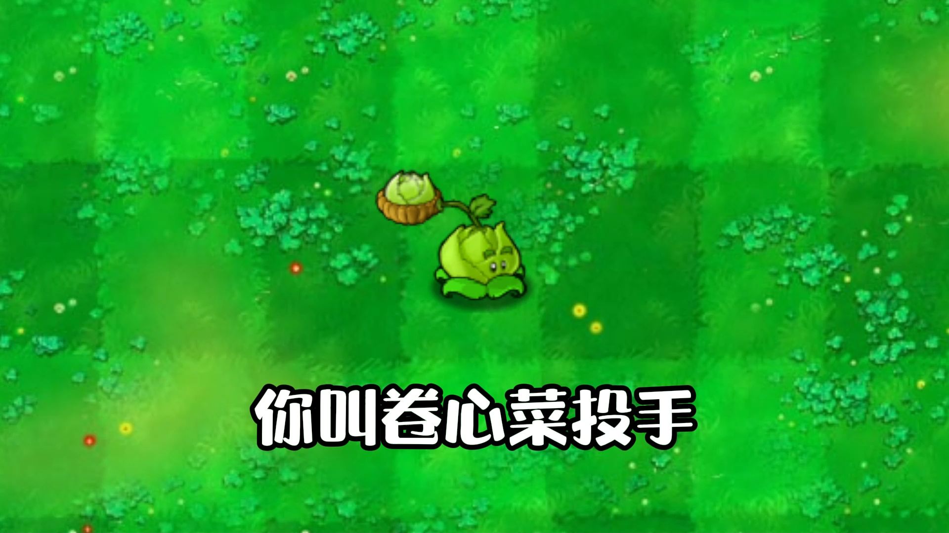 你叫卷心菜投手!总有一天!你要创造一个只有卷心菜的世界!