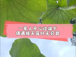 祝大家端午安康快乐