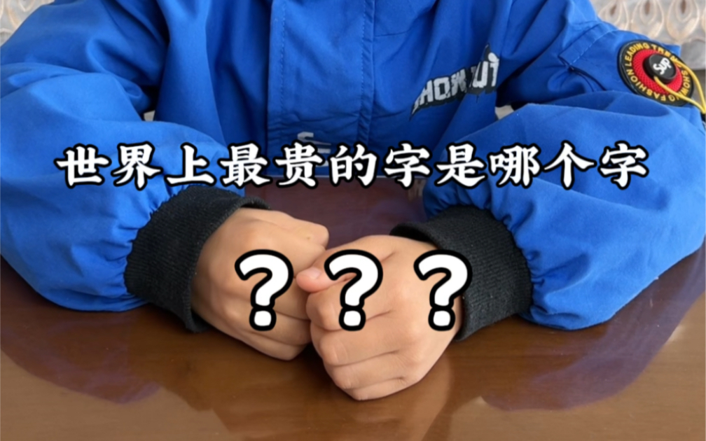 世界上最贵的字到底是什么字呢?哔哩哔哩bilibili