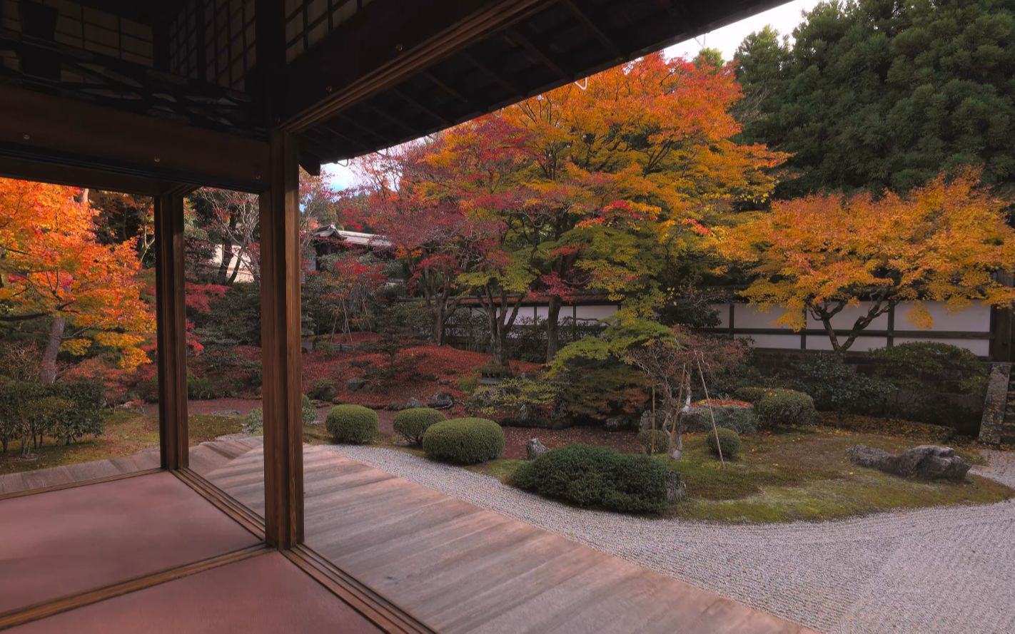 京都 泉涌寺の红叶 Kyoto, Sennyuji in Autumn哔哩哔哩bilibili