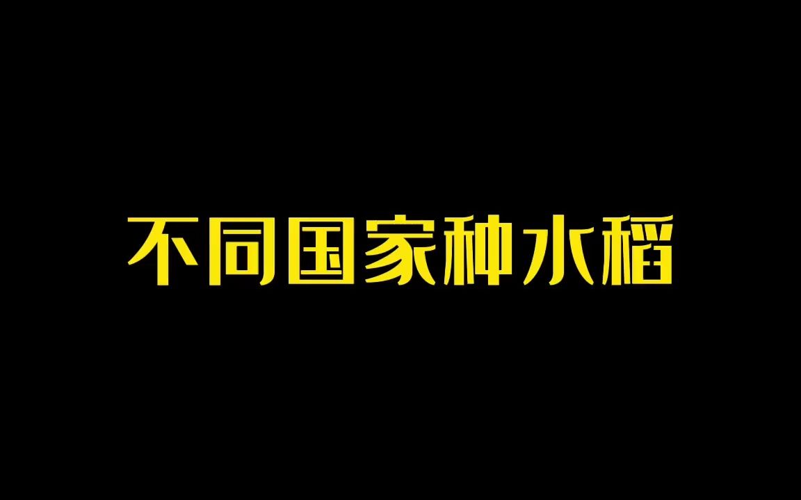 [图]不同国家种水稻 澳大利亚的很先进 尼泊尔的很原始