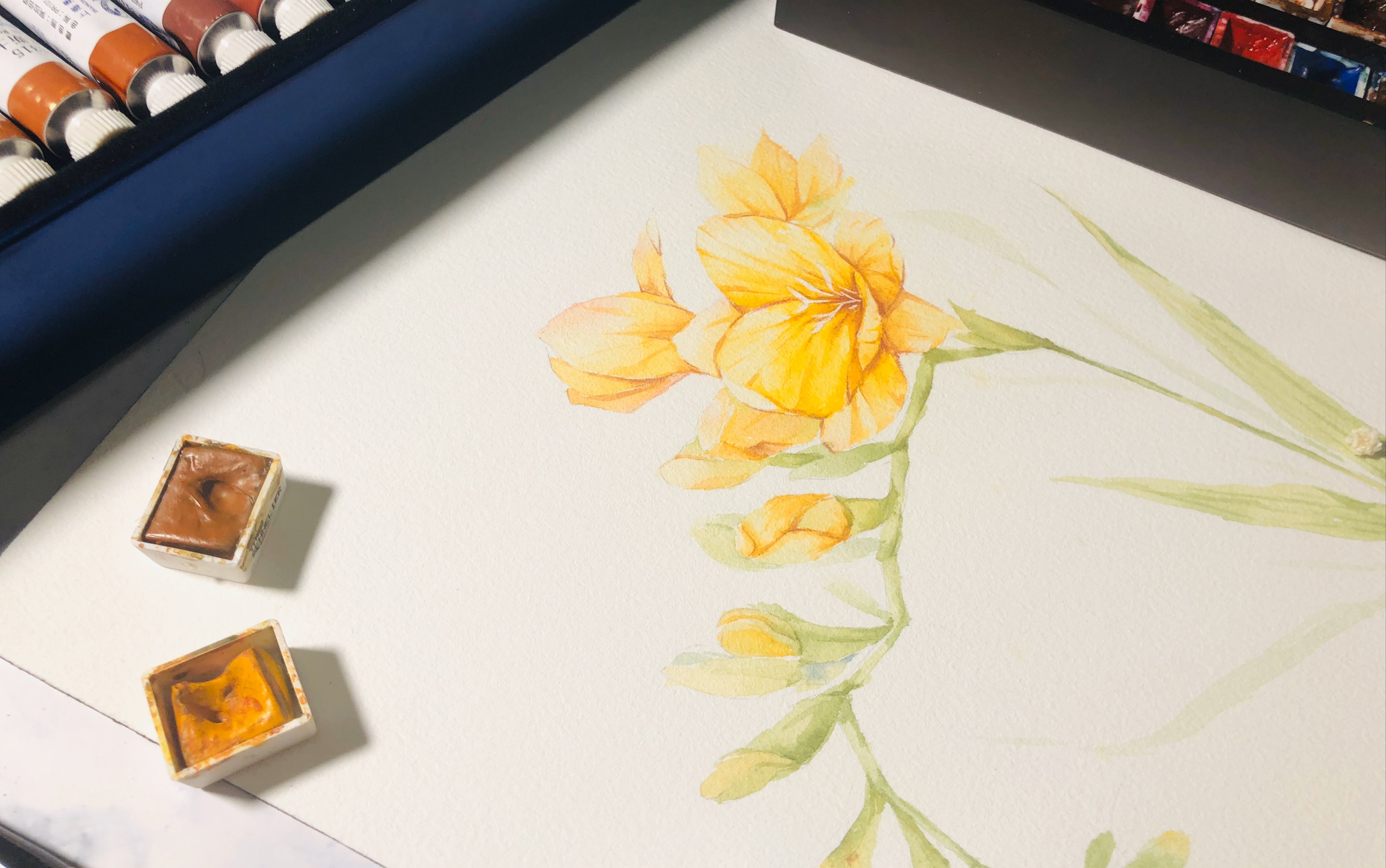 写意水彩花卉基础教程小苍兰绘画过程