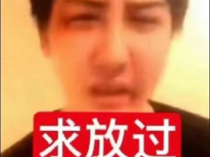 黄色小软件已老实求放过哔哩哔哩bilibili