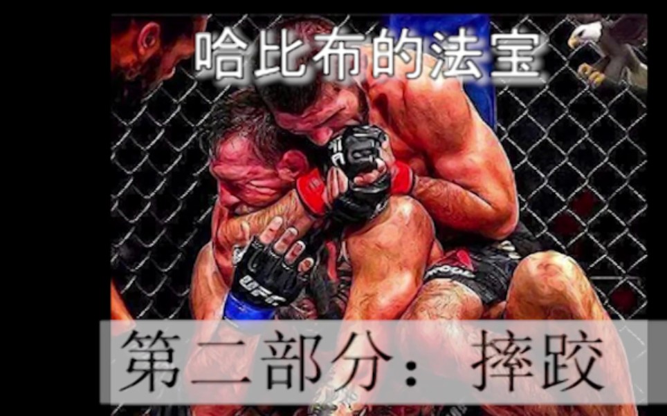 [图]“小鹰”哈比布要想击败“夜魔”托尼弗格森的关键！MMA技术分析【MMA系列03】