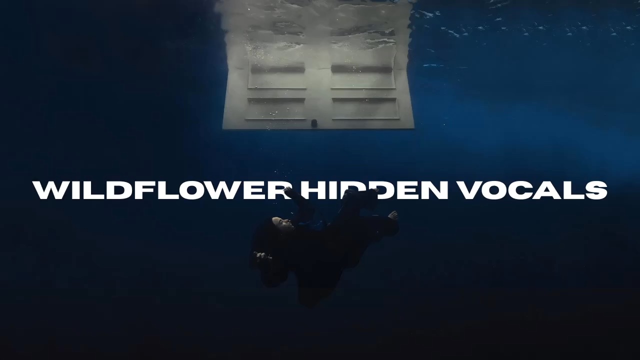 【隐藏和声细节】WILDFLOWER - Billie Eilish