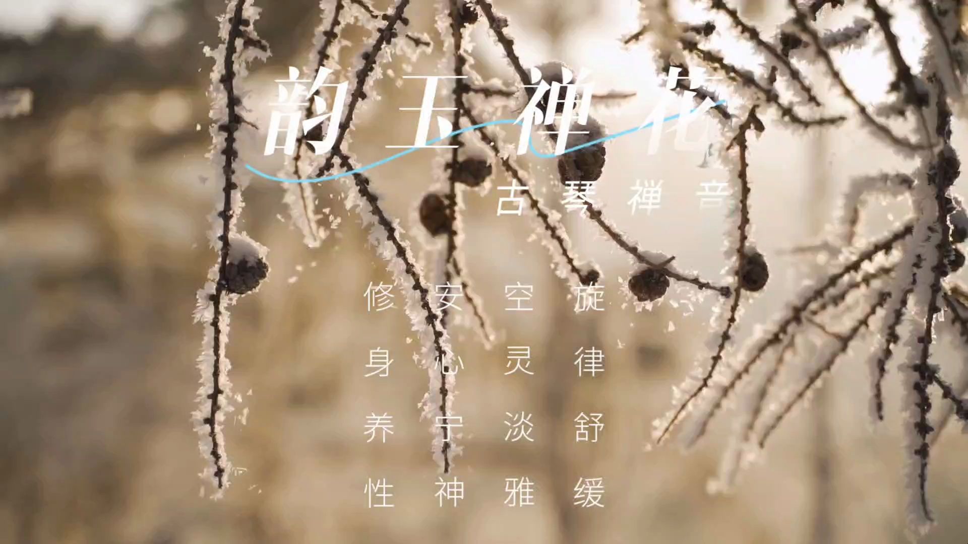 【音乐静听】105古琴禅音《韵玉禅花》旋律舒缓,空灵淡雅,安心宁神,修身养性,舒缓压力,养心静心,平和内心,排忧解郁哔哩哔哩bilibili