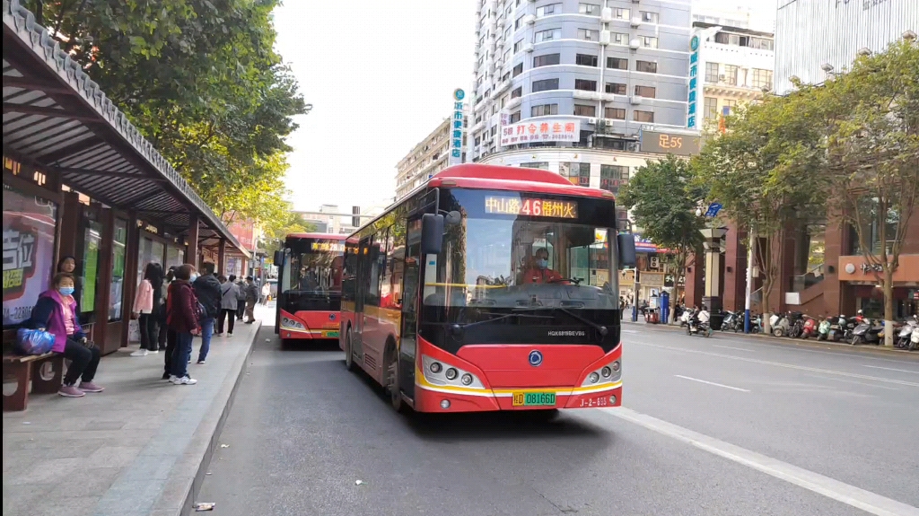 梧州松鹤园公交车图片