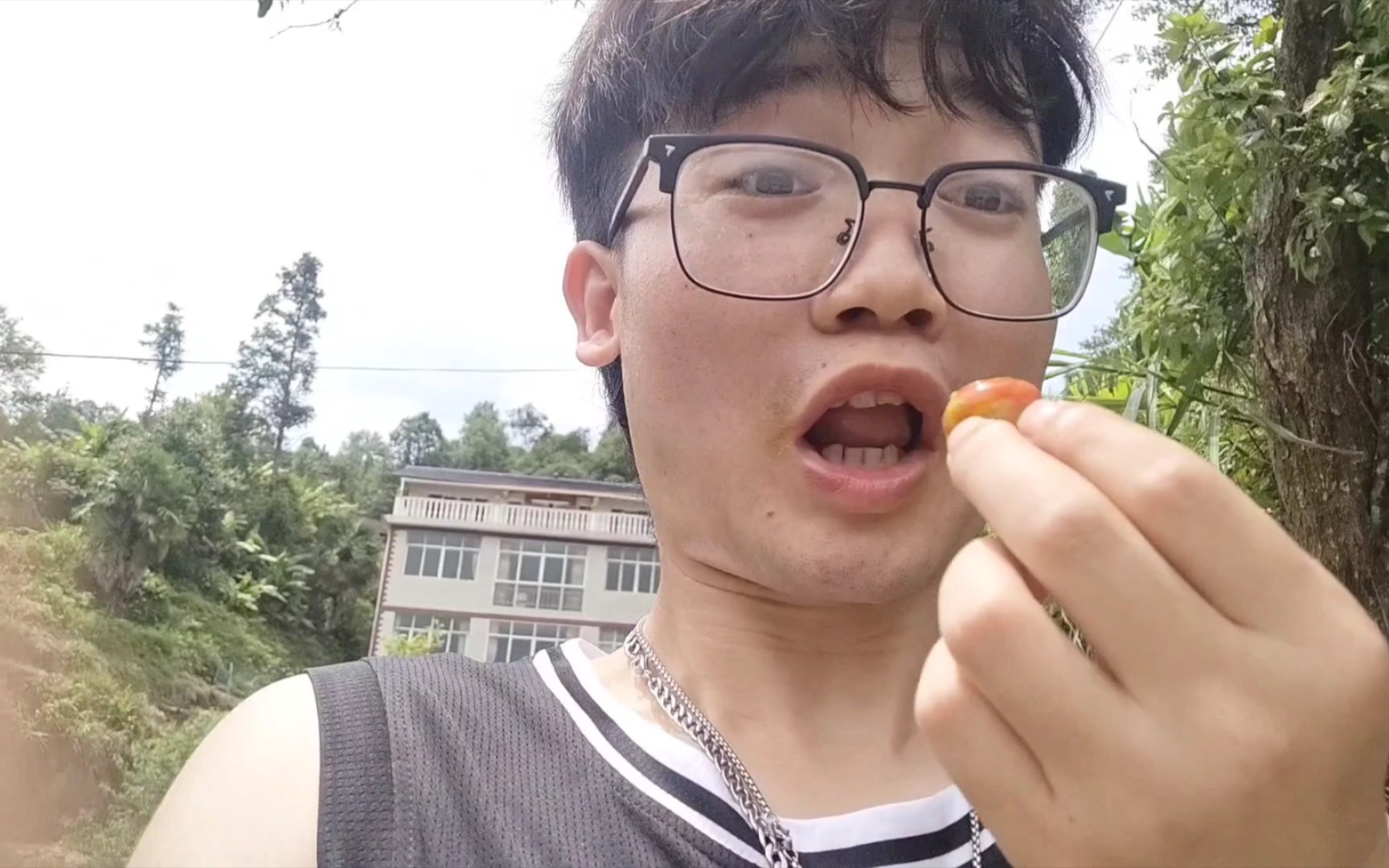 夏天的乡村 在山里 杨梅吃了 李子也吃了 好不好吃 看我表情!