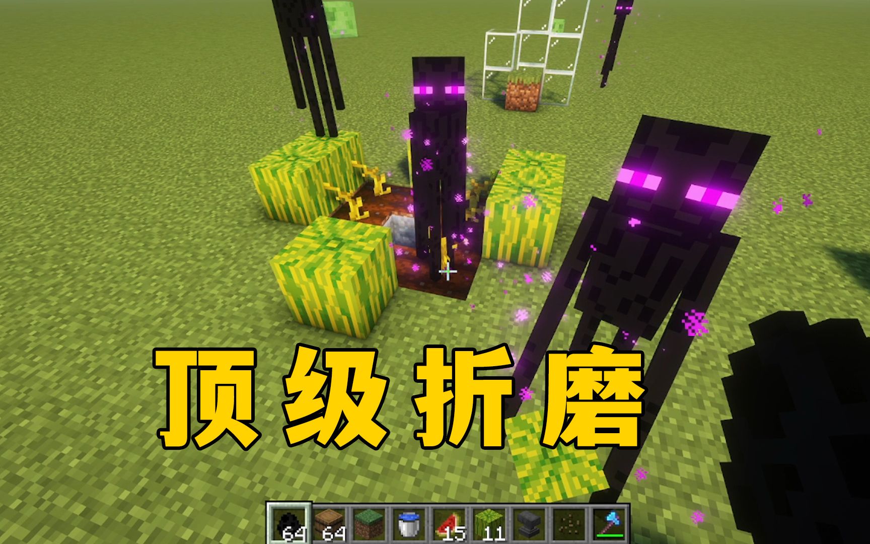 我的世界:末影人搬瓜,这才是顶级折磨!-图图图酱吖-图图图酱吖-哔哩哔哩视频