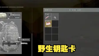 Tải video: 狗运时刻，比起捡大金倒不如捡到钥匙来的兴奋！