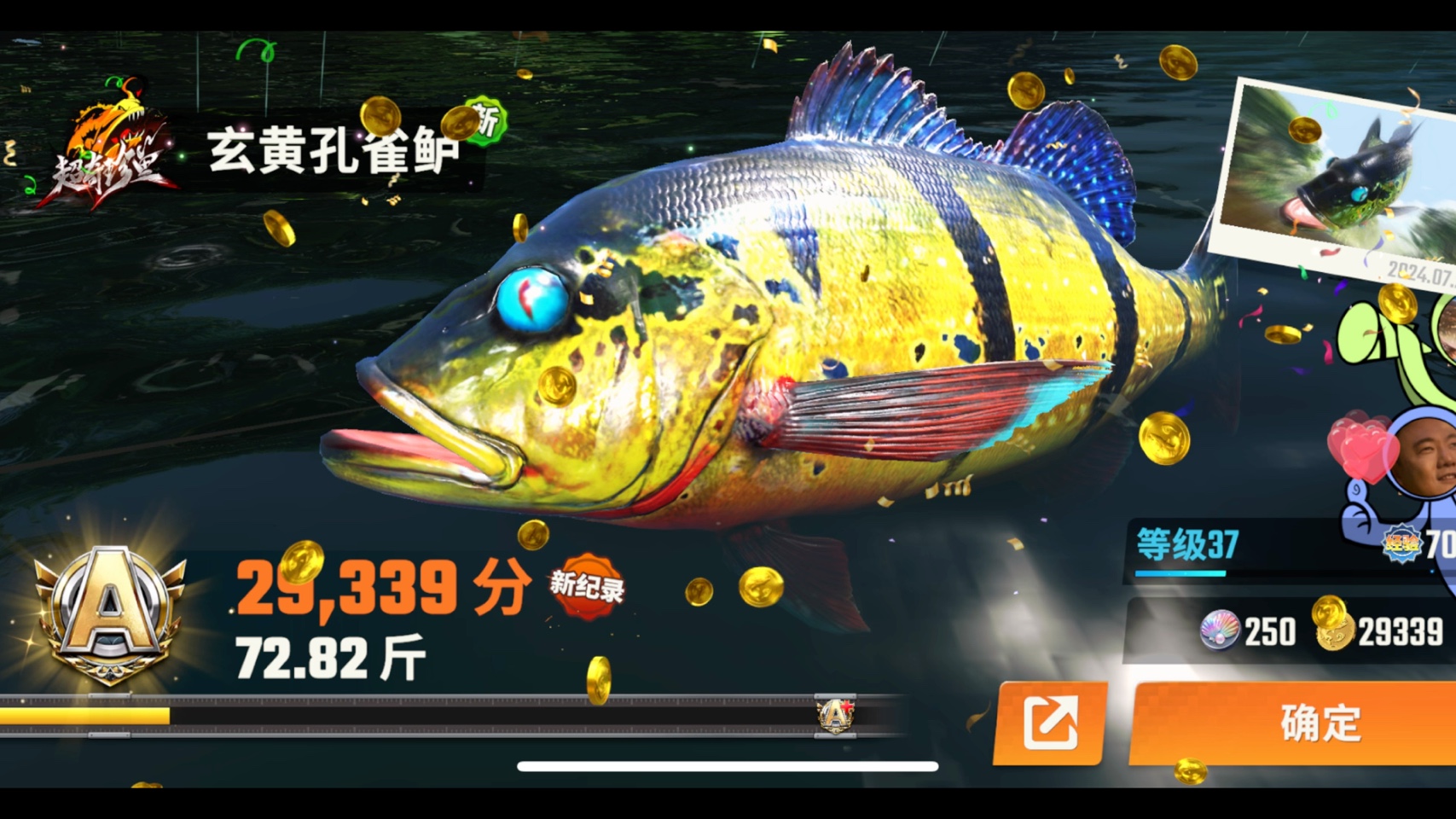 超奇珍玄黄孔雀鲈