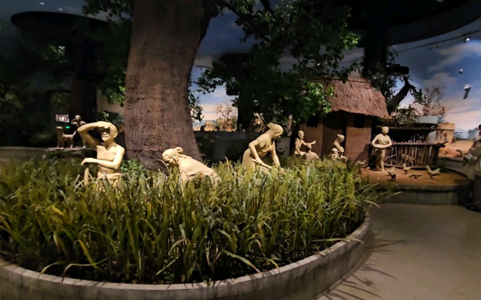 屈家岭博物馆 陶器与水稻 屈家岭和石家河镇是相连的两个镇 但是