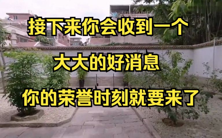 接下来你会收到一个大大的好消息 你的荣誉时刻就要来了 三连关注带走好运哔哩哔哩bilibili