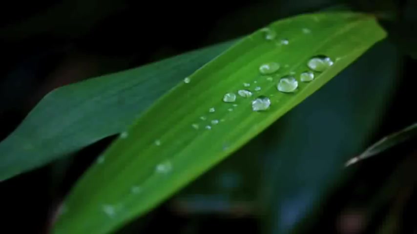 [图]【高音质・立体声】雨点击打屋顶的干净雨声！