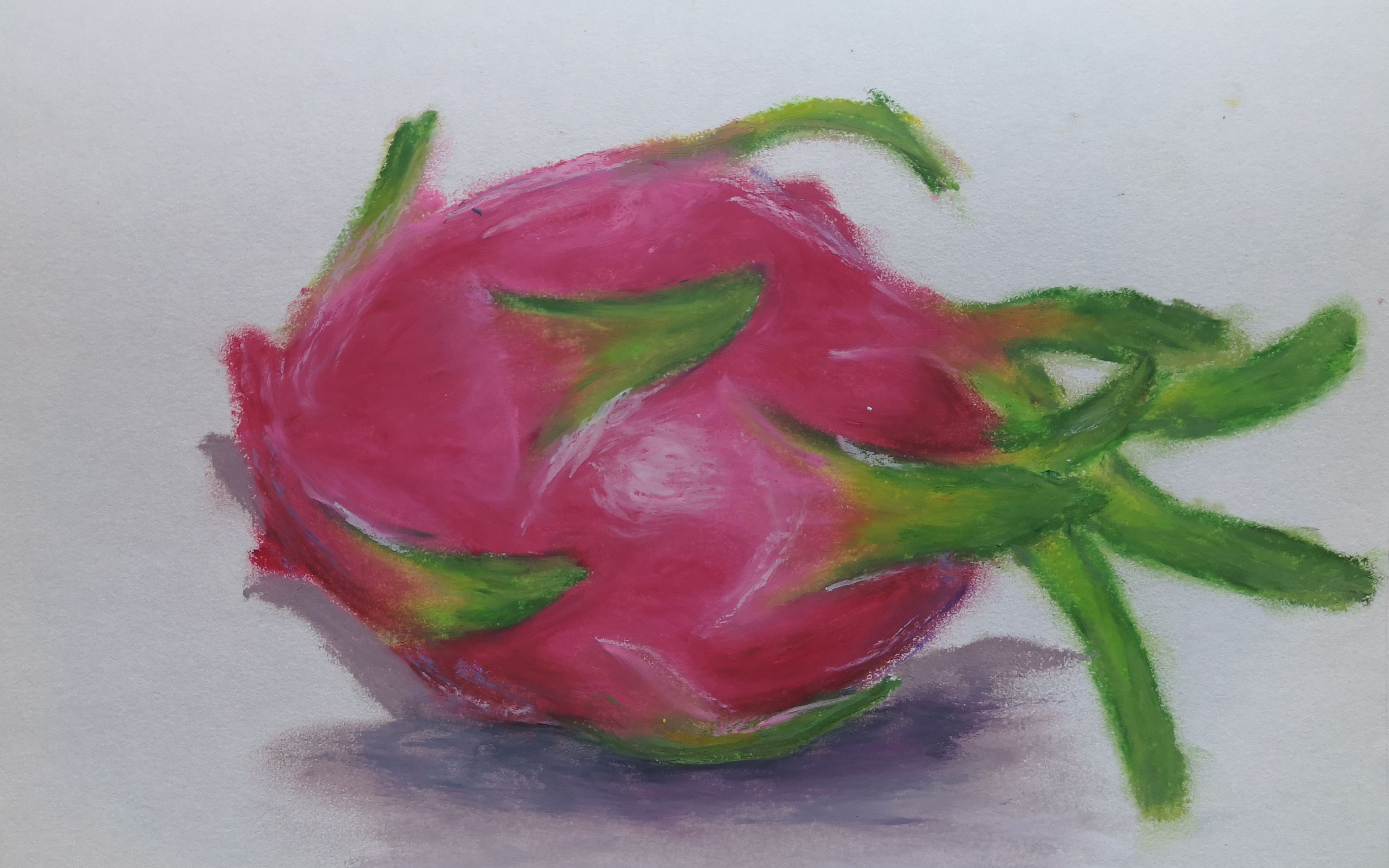 【油画棒】火龙果