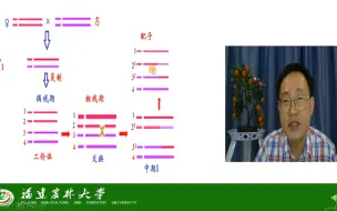 下载视频: 连锁遗传与性连锁-连锁与交换-交换-茶创2021级