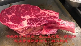 烤肉第一部位 横膈膜系列 所有产区的横膈膜切分我都完成啦 除了南美牛haha 而漂亮国的横膈膜还有一种做法炖煮真的有惊喜 哔哩哔哩